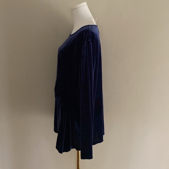The Limited Ruch Side Detail Velvet Tunic - Picture 3 of 10